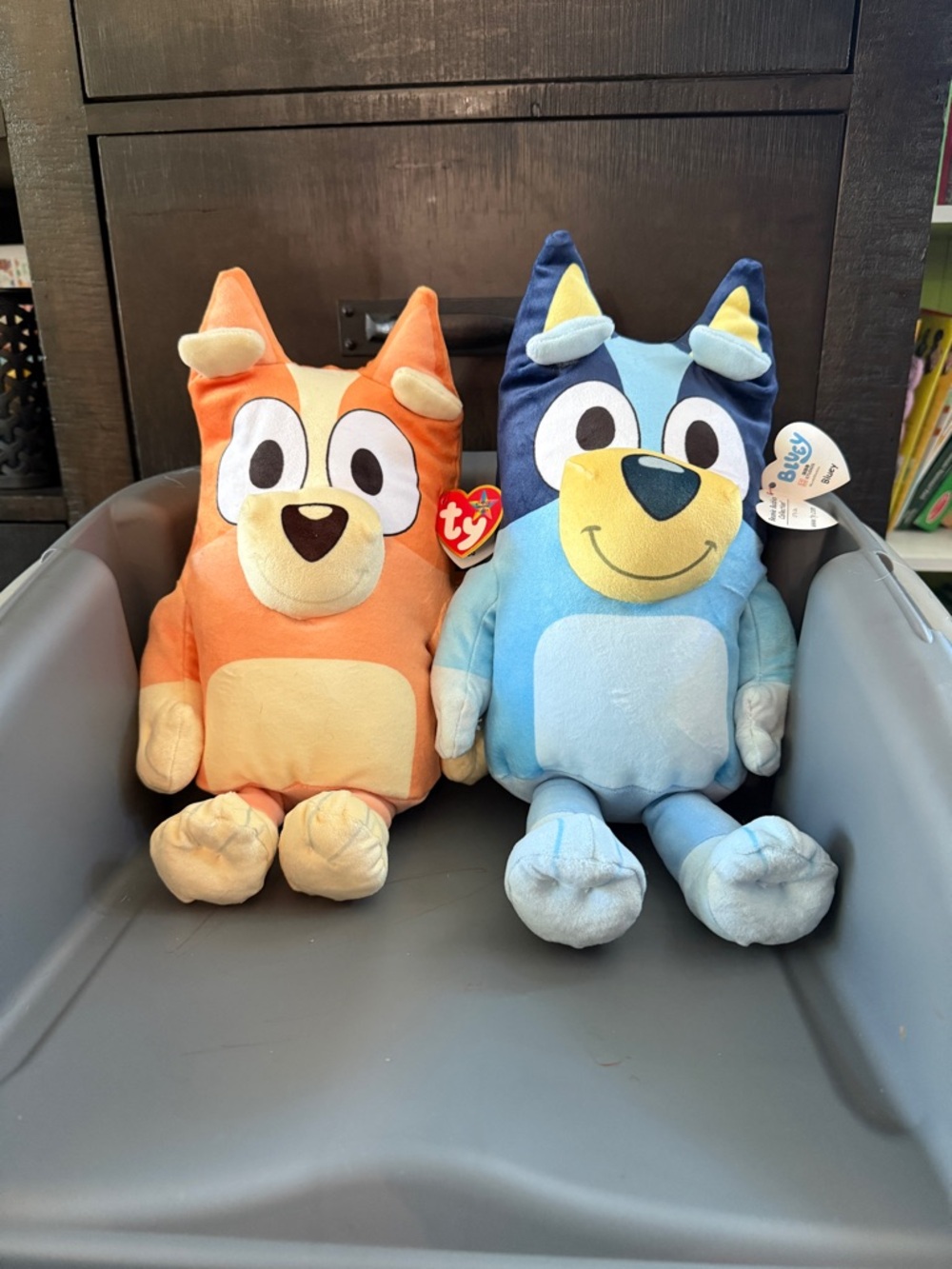 Ty Bluey and Bingo Set - 12 inch